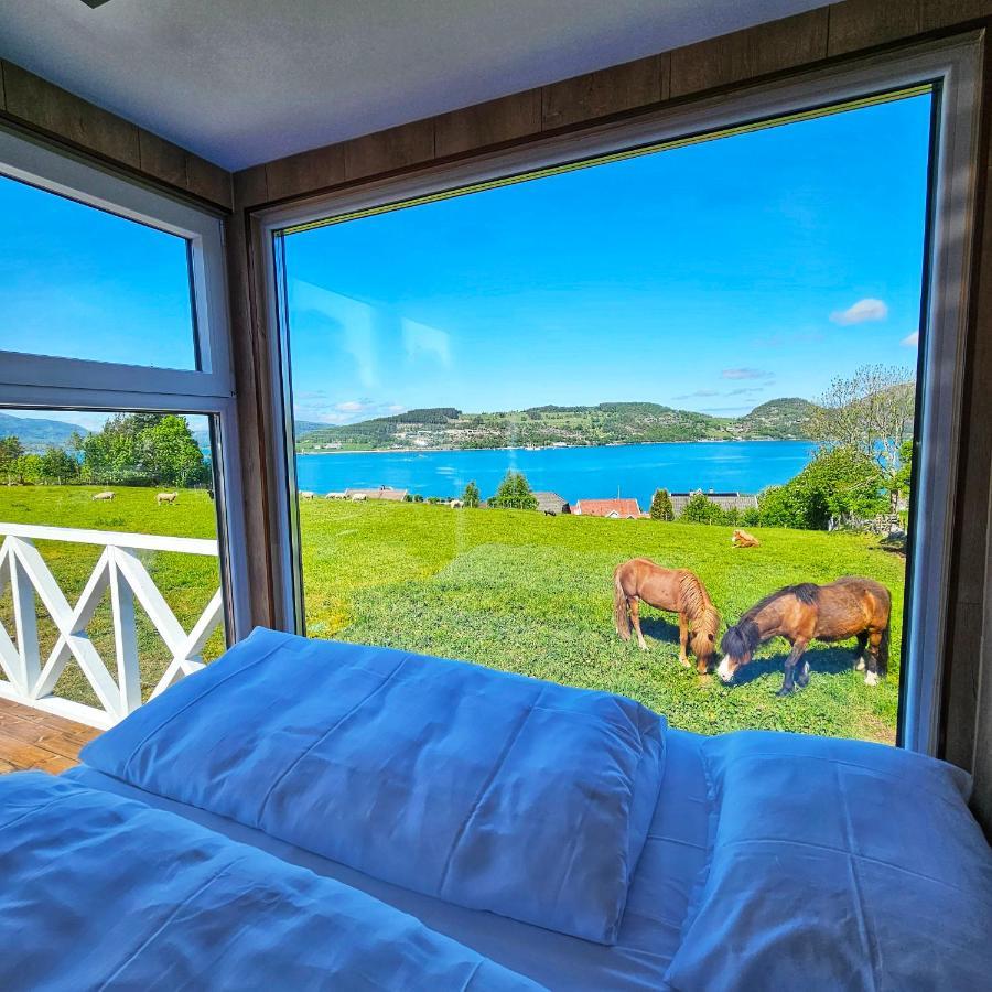 Lysefjorden - Goysa Gard Apartment